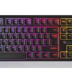 Tastatura Gaming Genesis Rhod 300 RGB, USB, layout US (Negru/Gri)
