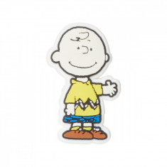 Jibbitz Crocs Peanuts Charlie Brown foto