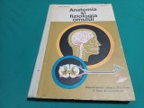ANATOMIA ȘI FIZIOLOGIA OMULUI * MANUAL CLS. A XIA- LICEE SPECIALITATE* VIORICA STĂNESCU * 1971* 4 4 4/6
