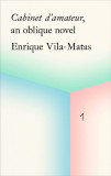 Cabinet d&#039;amateur, an oblique novel: Enrique Vila-Matas | Enrique Vila-Matas