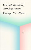 Cabinet d&#039;amateur, an oblique novel: Enrique Vila-Matas | Enrique Vila-Matas