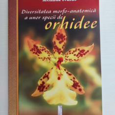 Diversitatea morfo-anatomica a unor specii de orhidee, Melinda Ivasuc