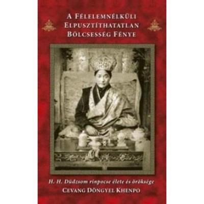 A f&amp;eacute;lelemn&amp;eacute;lk&amp;uuml;li elpuszt&amp;iacute;thatatlan b&amp;ouml;lcsess&amp;eacute;g f&amp;eacute;nye - H.H. D&amp;uuml;ncsom rinpocse &amp;eacute;lete &amp;eacute;s &amp;ouml;r&amp;ouml;ks&amp;eacute;ge - Cevang D&amp;ouml;ngyel foto