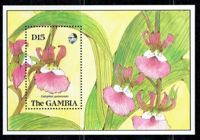 GAMBIA 1989 FLORI ORHIDEE