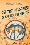 Cei Trei Magarusi si Cartea Fermecata - Gabriel H. Decuble - Carte Copii, Povesti