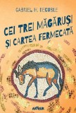 Cei trei magarusi si cartea fermecata - Gabriel H. Decuble