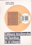 CALAUZA TESATORULUI DE BUMBAC, IN SI CANEPA-ADRIANA IONESCU, PETRU MOLDOVEANU-278976