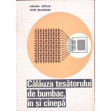 CALAUZA TESATORULUI DE BUMBAC, IN SI CANEPA-ADRIANA IONESCU, PETRU MOLDOVEANU-333709