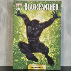 Christopher Priest - Black Panther | benzi desenate Marvel, Black Panther, supereroi