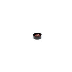 Intinzator curea TOYOTA AVENSIS T25 BTA E22004BTA