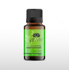 Menta -Spearmint Mentha spicata - Spearmint essential oil foto