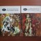 Basme populare romanesti (2 vol.)