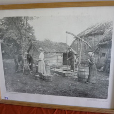 TABLOU FOTO 1903, 56/45 cm.