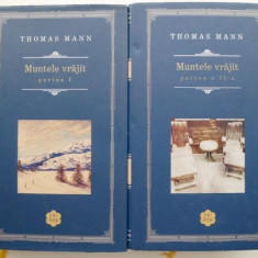 Muntele vrajit (2 volume) – Thomas Mann