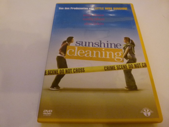 Sunshine cleaning, dvd