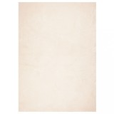 Cumpara ieftin Covor HUARTE, fir scurt, moale si lavabil, bej, 240x340 cm