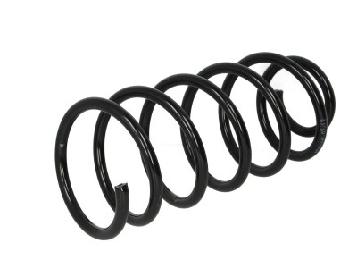 Arc spiral FIAT PUNTO EVO (199) (2008 - 2016) Magnum Technology SF094MT foto