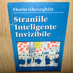 STRANIILE INTELIGENTE INVIZIBILE-FLORIN GHEORGHITA