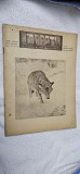 REVISTA CARPATII VANATOARE PESCUIT CHINOLOGIE , NR. 11-12 / 1945