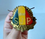 Insigna MM SJP (Maramures), 6x5cm