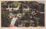 Pitesti. Parcul Trivalea. (circa 1910, necirculata)