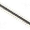 Conector 20 pini, seria {{Serie conector}}, pas pini 2.54mm, FISCHER ELEKTRONIK - SL 8 20 G
