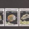 Monaco 1985 - Pești &icirc;n Acvariul Muzeului Oceanografic, MNH