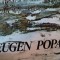 EUGEN POPA-DAN GRIGORESCU,1982