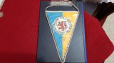 fanion vechi Eintracht Braunschweiger