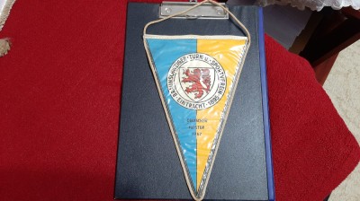 fanion vechi Eintracht Braunschweiger foto
