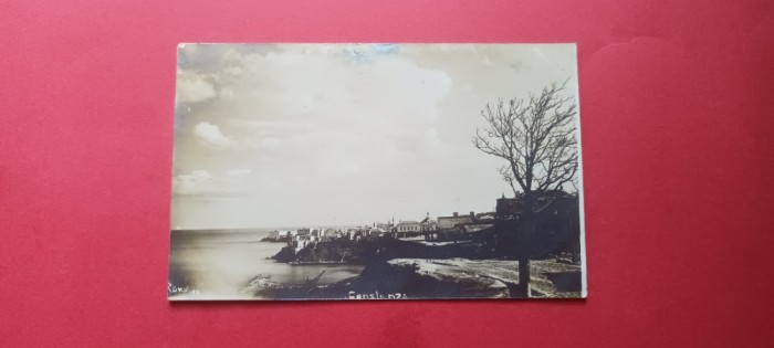 Dobrogea Constanta