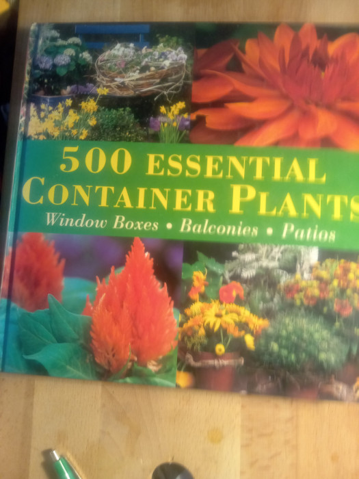 500 essential container plants,Windows boxes,balconies patios