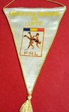 Fanion Sportiv (perioada comunista) - FEDERATIA de LUPTE din ROMANIA (dimensiuni 26X17 cm)