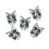 Set 5 brose martisor bufnita