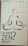 CE ESTE ZEN? INTRODUCERE PRACTICA IN MEDITATIA ZEN - DUKUSHO VILLALBA