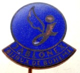 II.096 INSIGNA STICKPIN BIJUTERII CEHIA JABLONEX BIJOUX DE BOHEME
