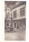 4531 - SINAIA, Peles Castle, Romania - old postcard, real PHOTO - unused - 1917, Necirculata, Fotografie