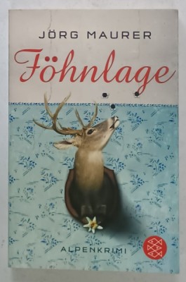 FOHNLAGE by JORG MAURER , TEXT IN LIMBA GERMANA , 2010 foto