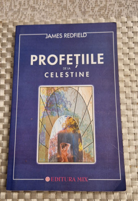 Profetiile de la Celestine James Redfield foto