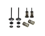 Set supape otel + arcuri admisie Suzuki RMZ 450 08- 15, RMX 450 10- 14 XU-09527IK