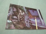 Cumpara ieftin CARTE POSTALA -FELICITARE NECIRCULATA