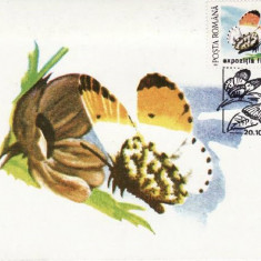 C4080 - Romania 1991 - Fluturi carte postala maxima