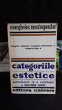 CATEGORIILE ESTETICE - EVANGHELOS MOUTSOPOULOS