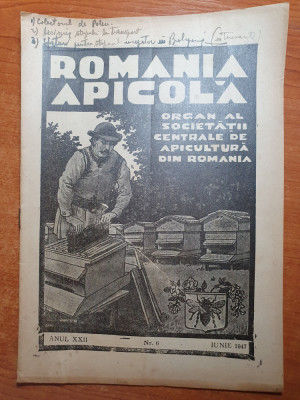 romania apicola iunie 1947-colectorul de polen foto