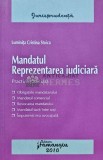 Mandatul reprezentarea judiciara - 2010 - Luminita Cristina Stoica (AP102)