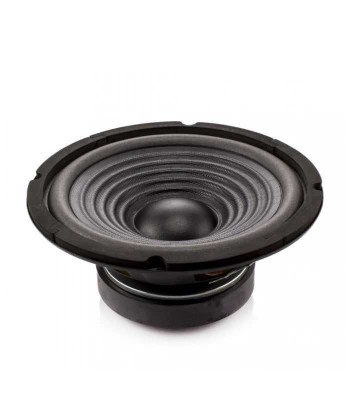 Difuzor HI-FI HOME 8&amp;quot; 203mm 100/200W 8 ohmi 37Hz-4.5kHz Carguard foto