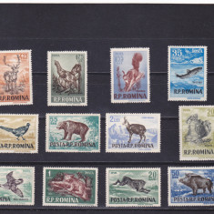 ROMANIA 1956 - VANATOAREA (DANTELAT), MNH - LP 404