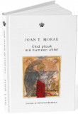 Cand ploua ma numesc altfel | Ioan T. Morar, 2021, Polirom, Baroque Books&amp;Arts