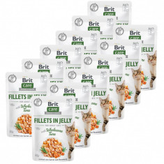 Brit Care Cat Fillets in Jelly Wholesome Tuna 12 x 85 g foto