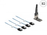 Controller M.2 2242 Key B+M la 4 x SATA 1m, Delock 64260